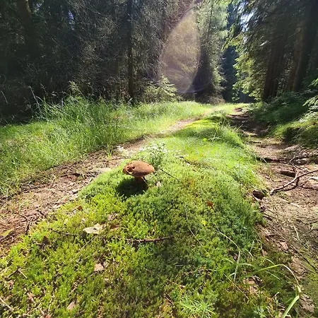 Restauracja & Goscinne * Karlow