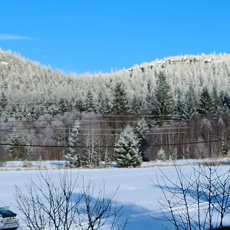 Han/Misafirhane Restauracja & Goscinne *