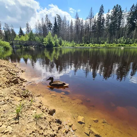 Restauracja & Goscinne Han/Misafirhane Karlow