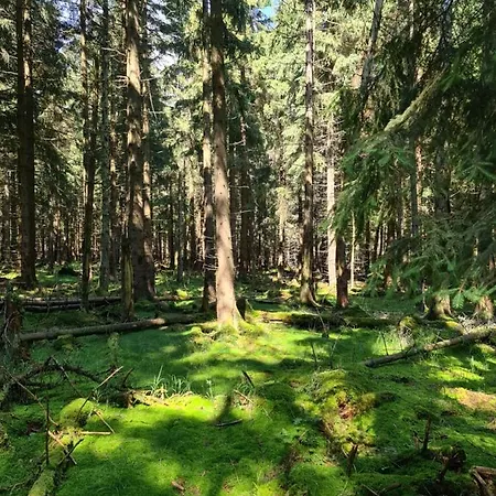 Han/Misafirhane Restauracja & Goscinne *