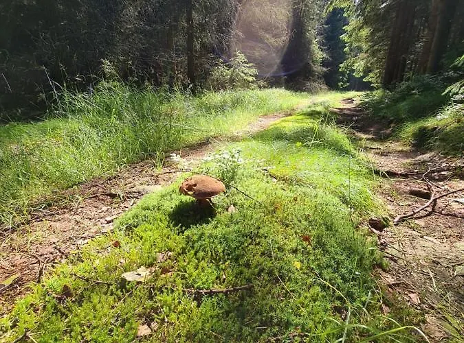 Restauracja & Goscinne * Karlow