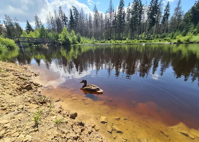 Restauracja & Goscinne Karlow