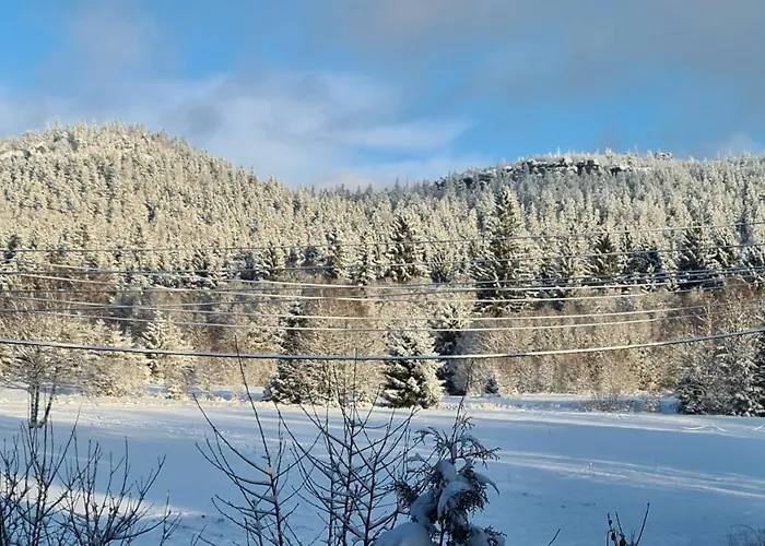 Restauracja & Goscinne