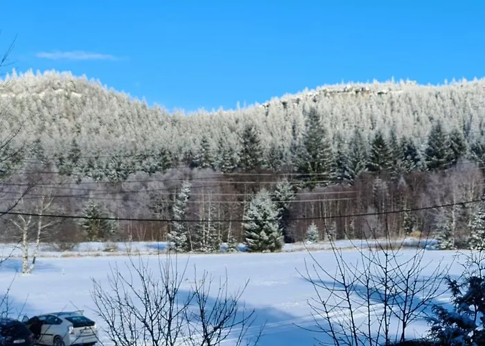 Мини-отель Restauracja & Goscinne *