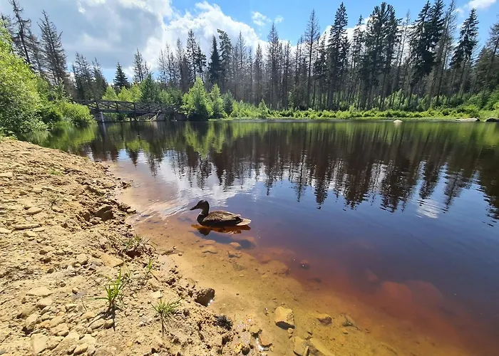 Restauracja & Goscinne Inn Karlow